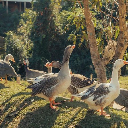 Hotel Chales Capitanias Aguas de Lindoia Ngoại thất bức ảnh